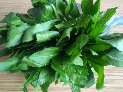 Kardai Bhaji (safflower Leaves) – Everyday Veg Cooking